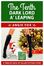 AngieFox_TenthDarkLord_cvr_SF_Final