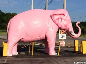 Pink elephant